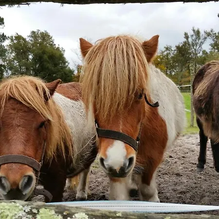 Le Gahoun - La Cosy 3* Castets