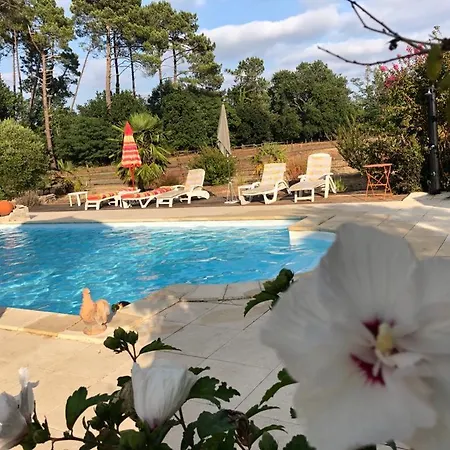 Le Gahoun - La Cosy Guest house *