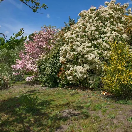 Le Gahoun - La Cosy 3*