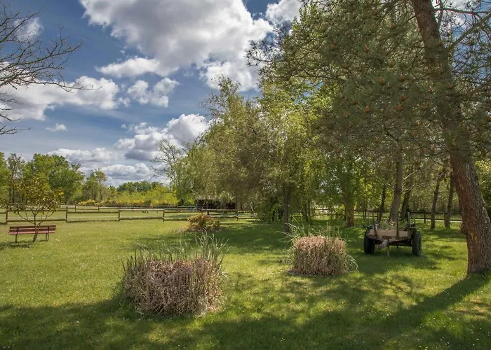 Affittacamere Le Gahoun - La Cosy Castets