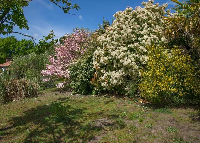 Le Gahoun - La Cosy 3*